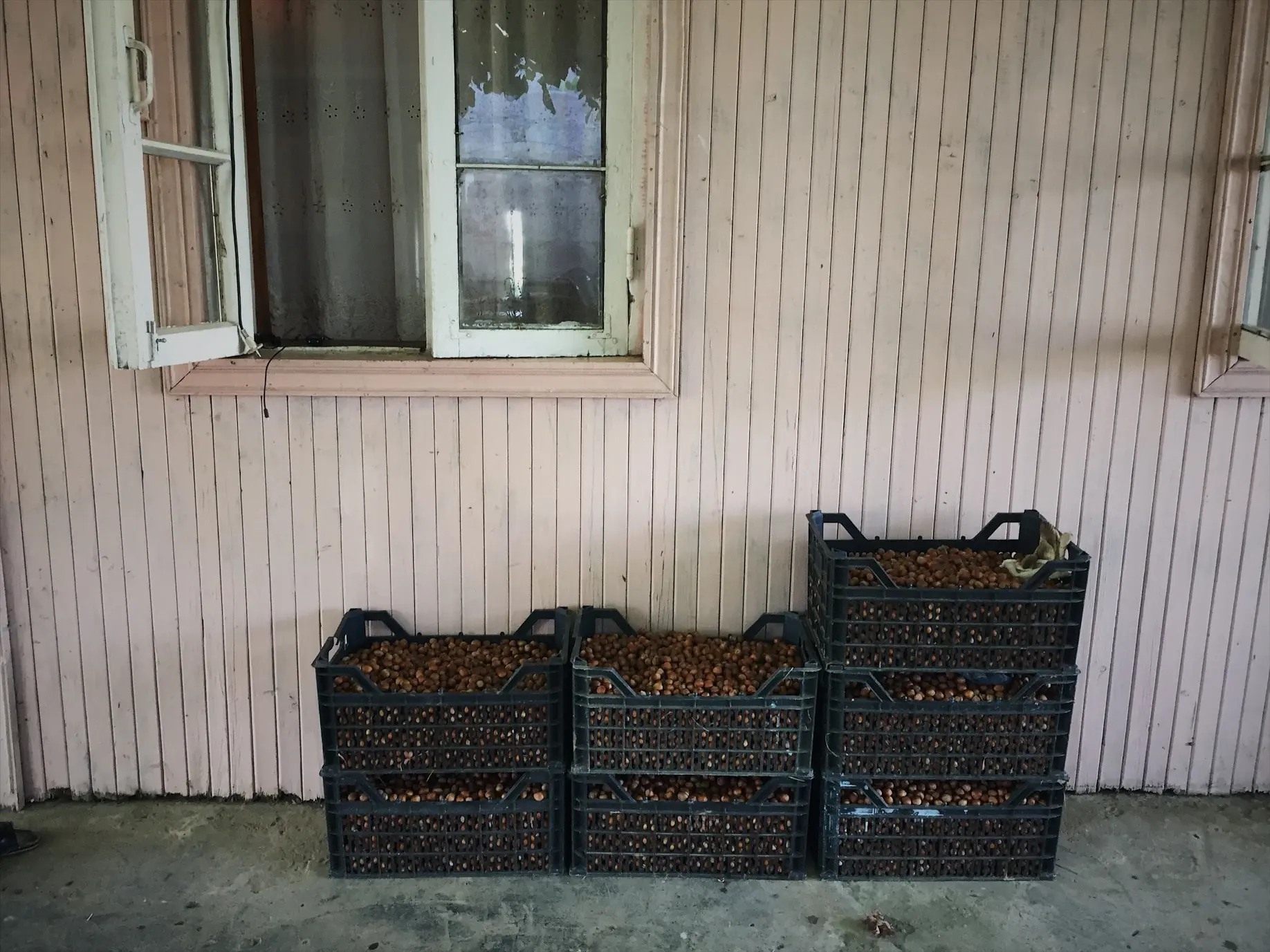 Абхазская продукция может с преимущественным правом, без налогообложен